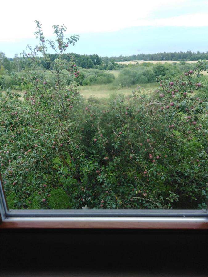 Viesu Maja Manturi Hotel Peipini Eksteriør billede